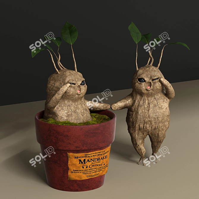 Magical Mandrake Root: Authentic Harry Potter Collectible 3D model image 5