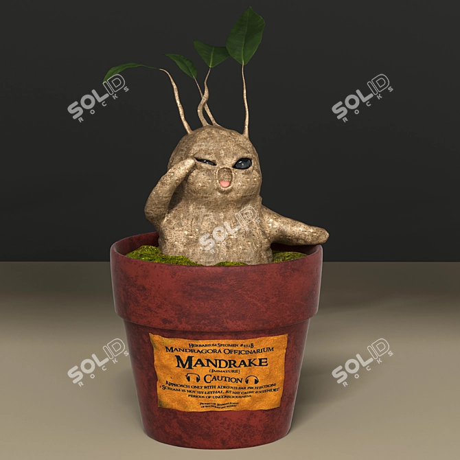 Magical Mandrake Root: Authentic Harry Potter Collectible 3D model image 6