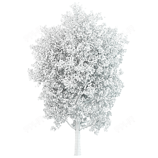Natural Birch Tree Decoration 3D model image 2