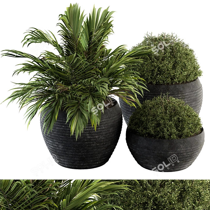 Natural Greenery: Outdoor Plants - Set 104 3D model image 1