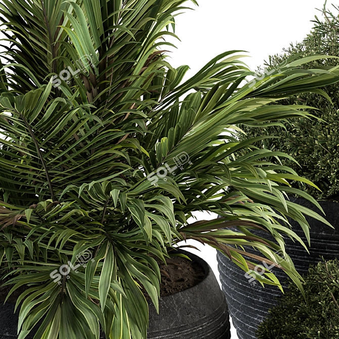 Natural Greenery: Outdoor Plants - Set 104 3D model image 3