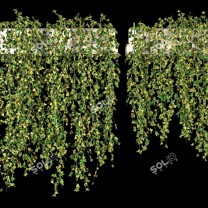 Lush Ivy Set for 3Dmax 3D model image 2