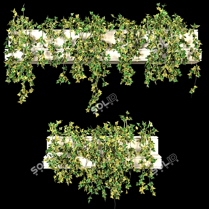 Lush Ivy Set for 3Dmax 3D model image 3