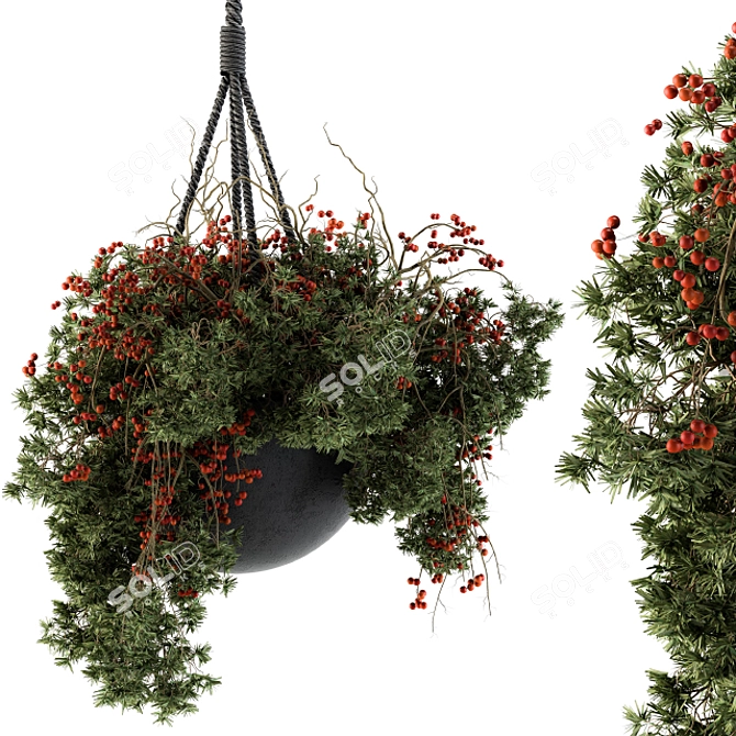 Hanging Pot Set 102: Elevated Elegance 3D model image 1