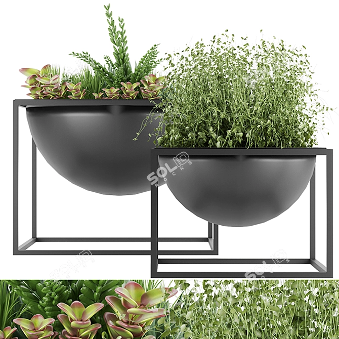 Nature's Delight: Plant Collection Vol. 11 3D model image 1