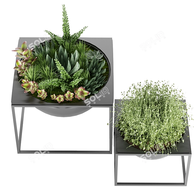 Nature's Delight: Plant Collection Vol. 11 3D model image 2