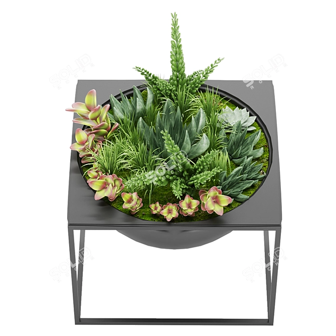 Nature's Delight: Plant Collection Vol. 11 3D model image 4