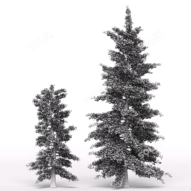 Evergreen Pine Tree: Two Sizes 3D model image 3