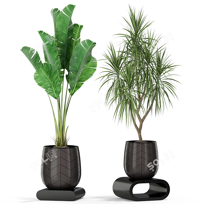 Exquisite Plants Collection 423 3D model image 3