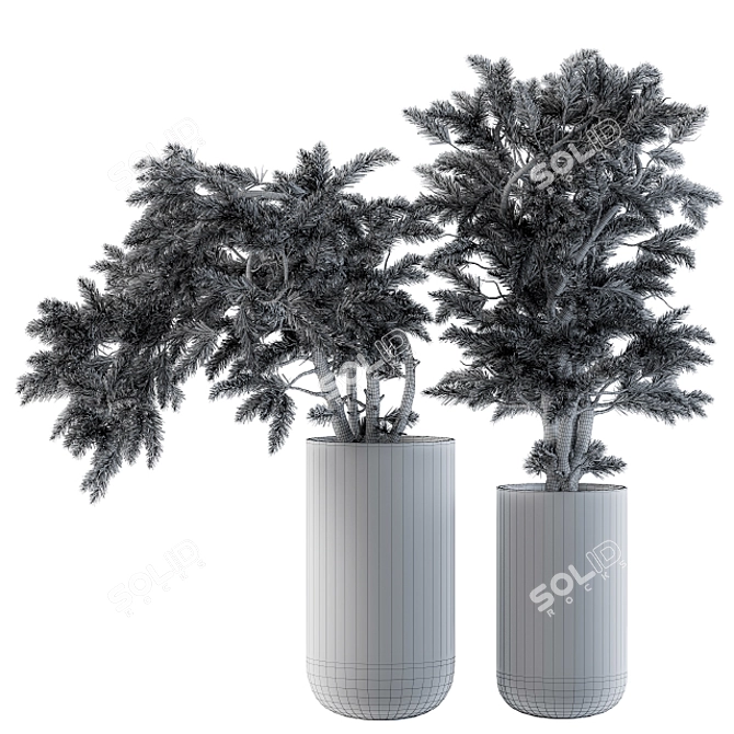 Evergreen Bliss Bonsai pine trees 3D model image 4