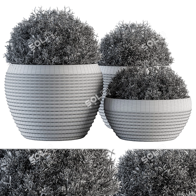 Greenery Bliss: Set of 106 Outdoor Topiary Balls 3D model image 4