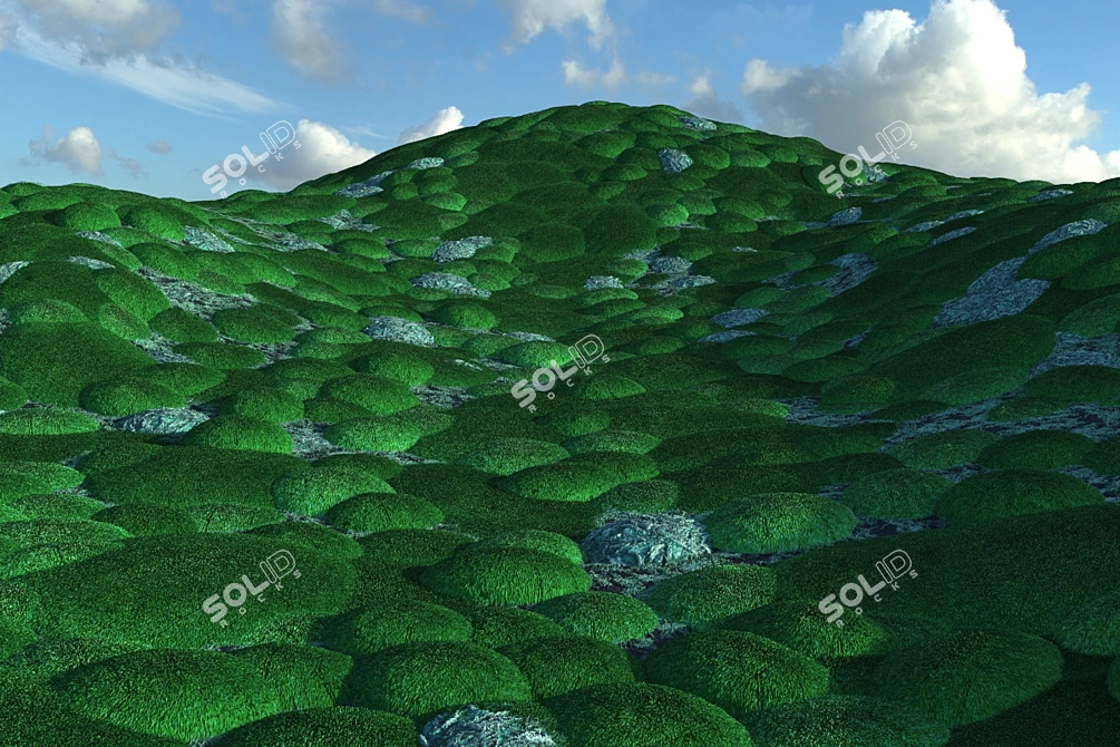 Mossy Forest Seamless Texture 3D model image 2