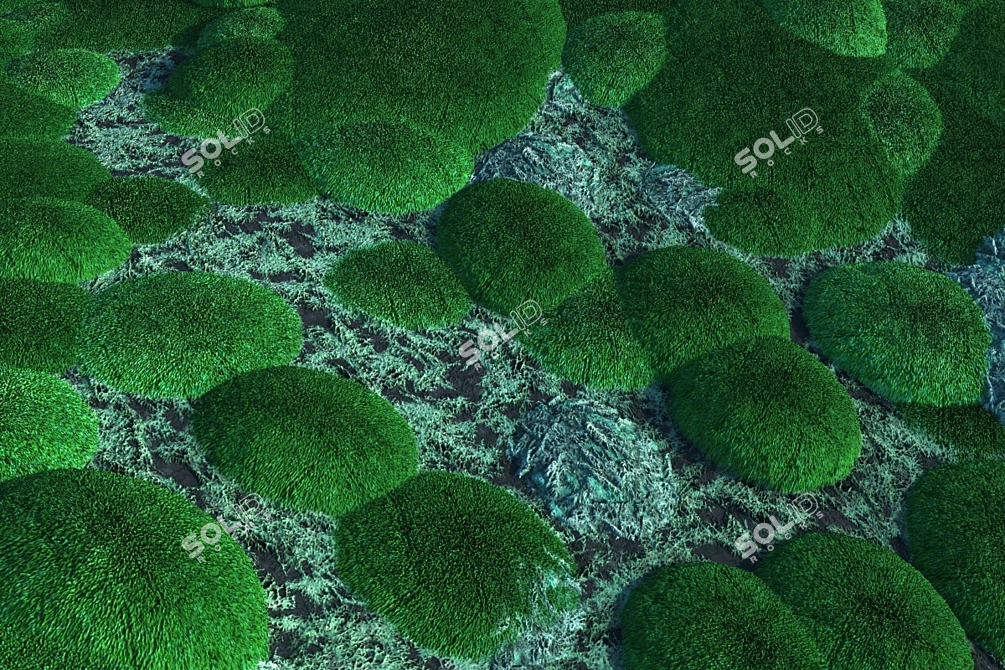 Mossy Forest Seamless Texture 3D model image 4