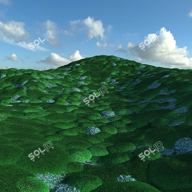 Mossy Forest Seamless Texture 3D model image 5