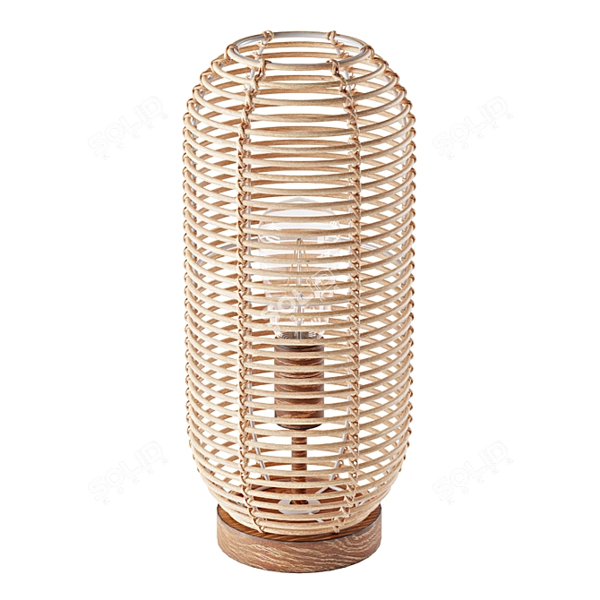 Boho-inspired Rattan Cage Table Lamp 3D model image 2