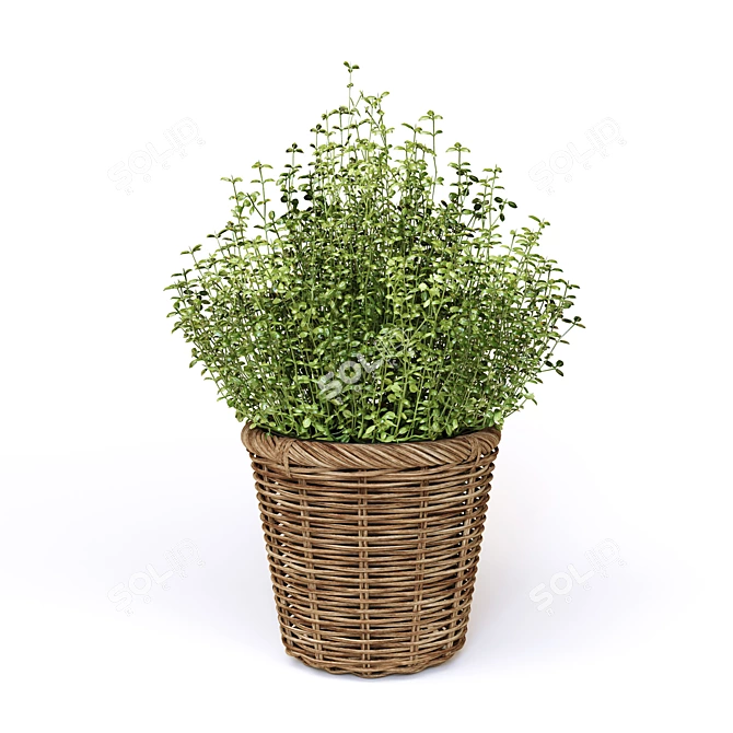 FEJKA Artificial Potted Plants - Lifelike Home Decor 3D model image 3