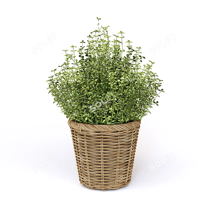 FEJKA Artificial Potted Plants - Lifelike Home Decor 3D model image 8