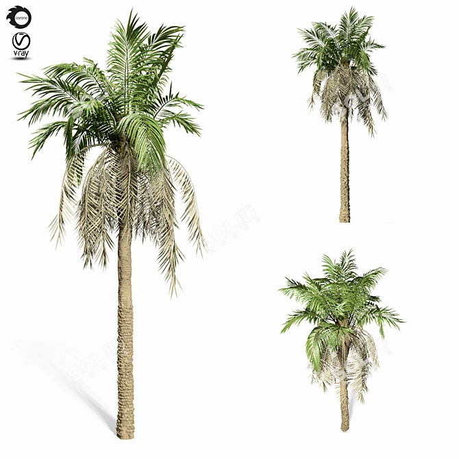 Tropical Paradise Palm Tree 3D model image 1