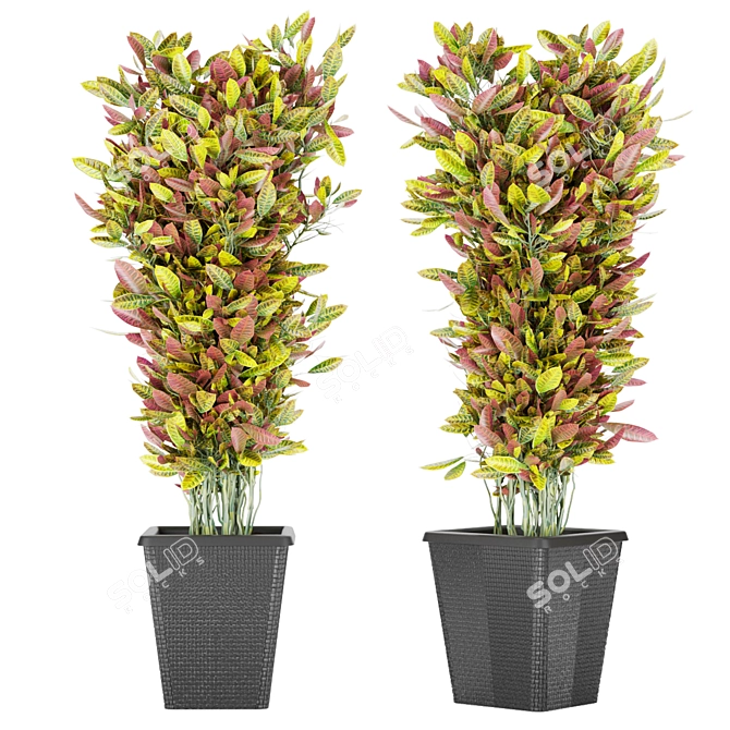 Premium Plant Collection Vol. 12 3D model image 2