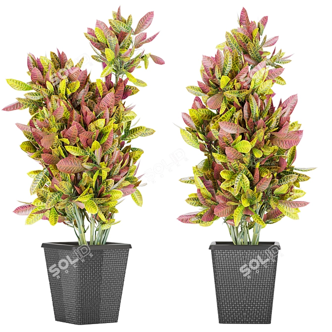 Premium Plant Collection Vol. 12 3D model image 3