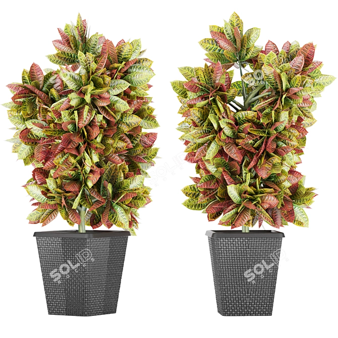 Premium Plant Collection Vol. 12 3D model image 4