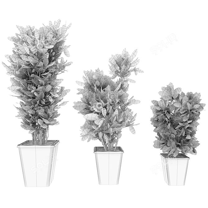 Premium Plant Collection Vol. 12 3D model image 5