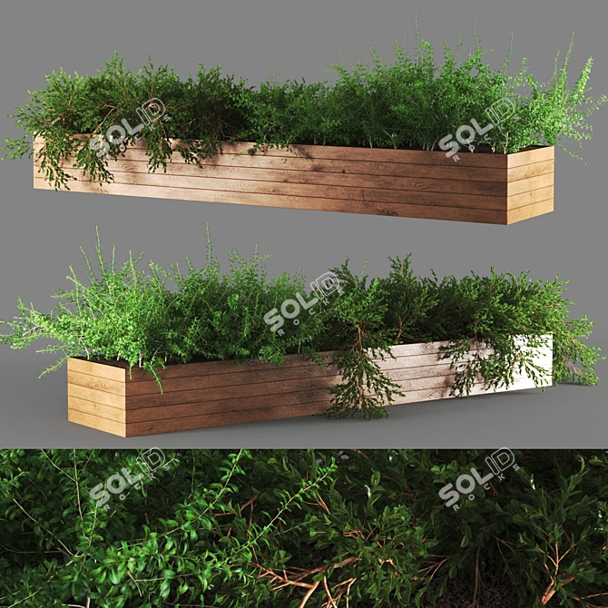 Botanical Essence: Exquisite 667k Poly Plant 3D model image 1