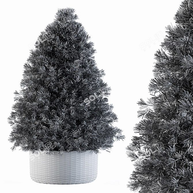 Evergreen Beauty: Indoor Pine Tree 3D model image 4