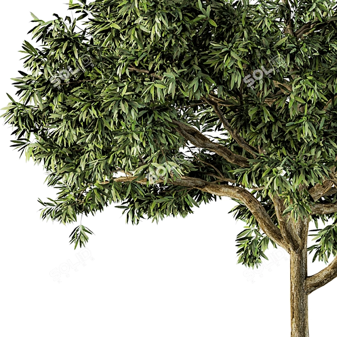 Green Broadleaf Tree Set - 28 3D model image 3