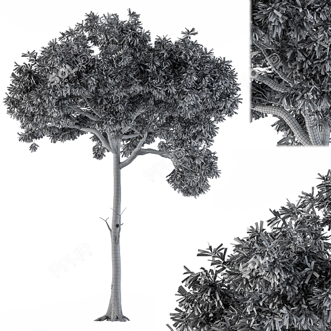 Green Broadleaf Tree Set - 28 3D model image 4