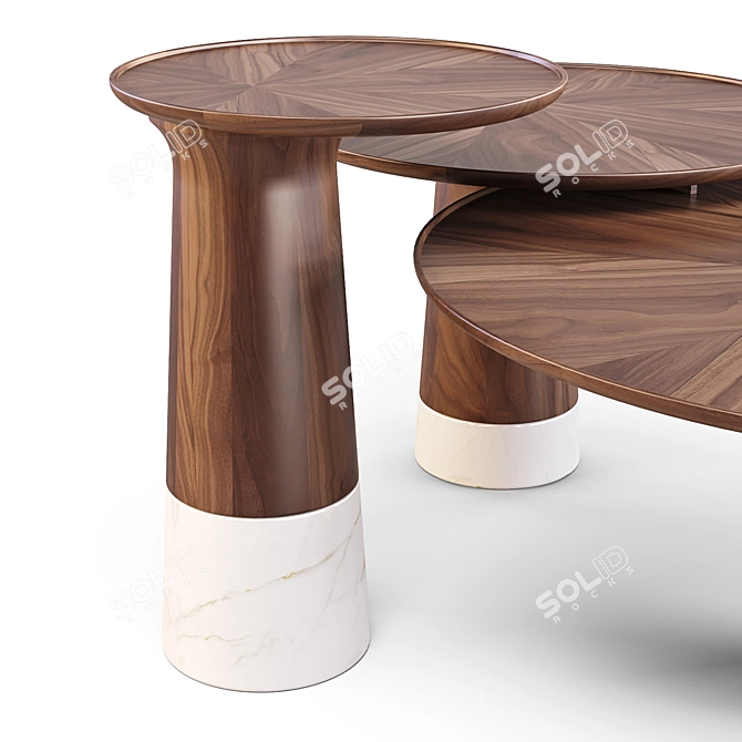 Roche Bobois Colorado: Marble and Walnut Coffee Tables 3D model image 2