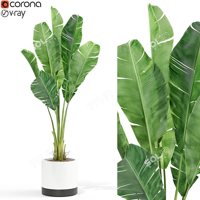 Botanical Bliss: The Green Collection 3D model image 1