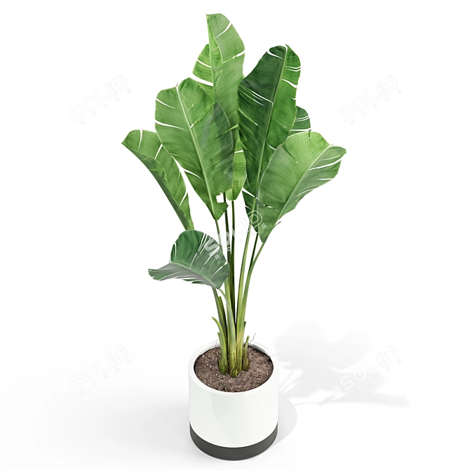 Botanical Bliss: The Green Collection 3D model image 2