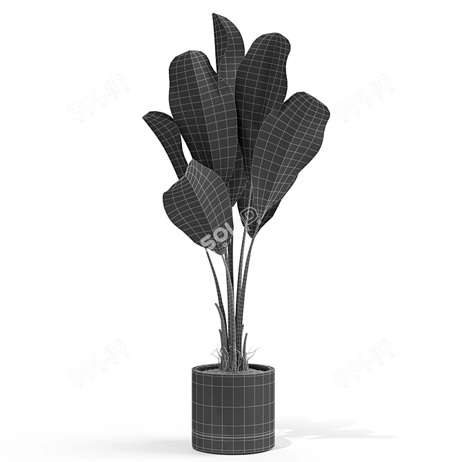 Botanical Bliss: The Green Collection 3D model image 3