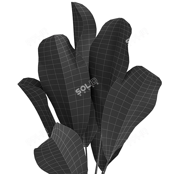 Botanical Bliss: The Green Collection 3D model image 4