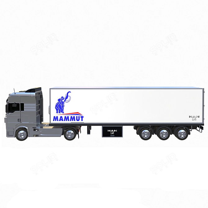 2015 MAN-Truck 3D Model 3D model image 3