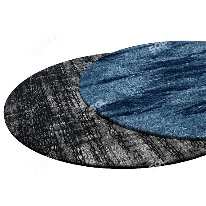 Circular Interior Rug 3D model image 2