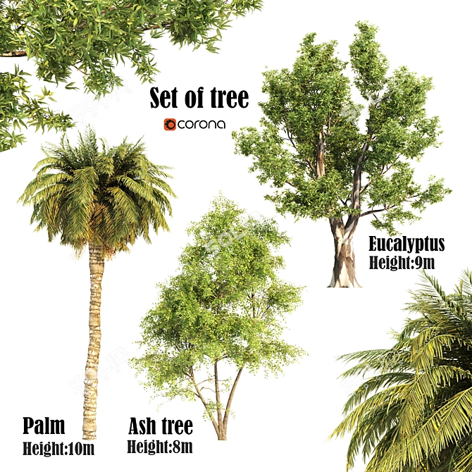 Triple Tree Set: Eucalyptus, Palm & Ash 3D model image 1