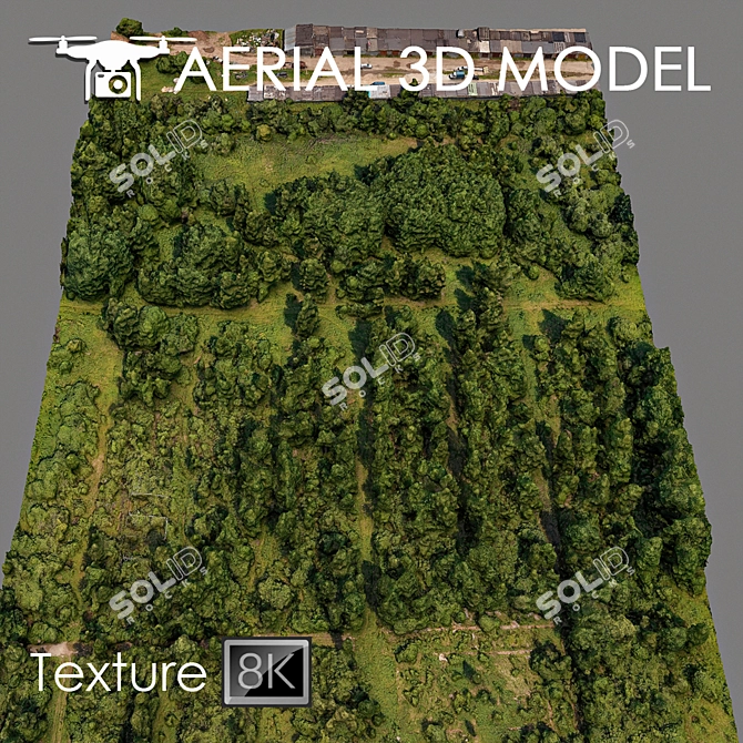 Lush Forest Landscape Model 3D model image 2