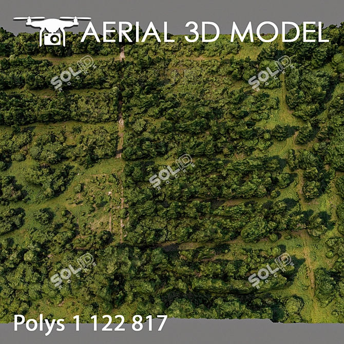 Lush Forest Landscape Model 3D model image 3