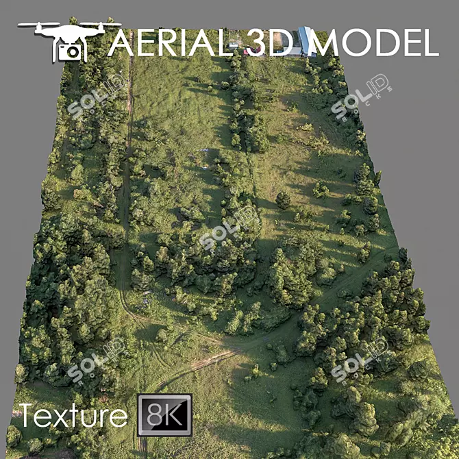 Forest 78: High-Resolution 3D Terrain Model 3D model image 1