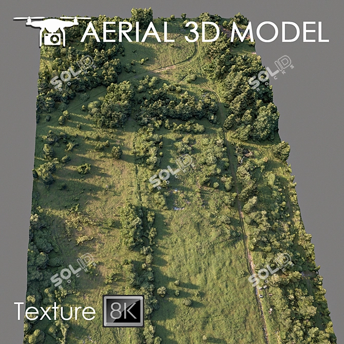 Forest 78: High-Resolution 3D Terrain Model 3D model image 2