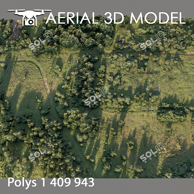 Forest 78: High-Resolution 3D Terrain Model 3D model image 4