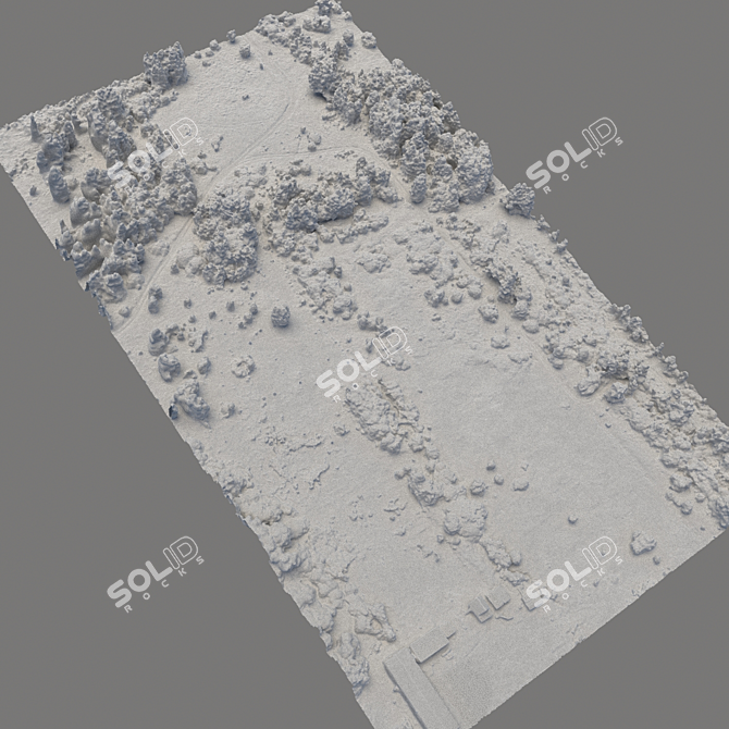 Forest 78: High-Resolution 3D Terrain Model 3D model image 5