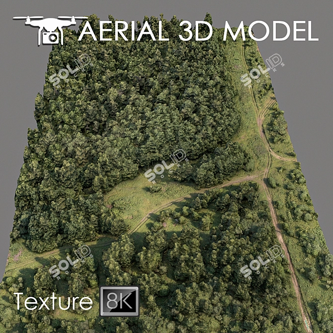 Forest Landscape 3D Scan 3D model image 2