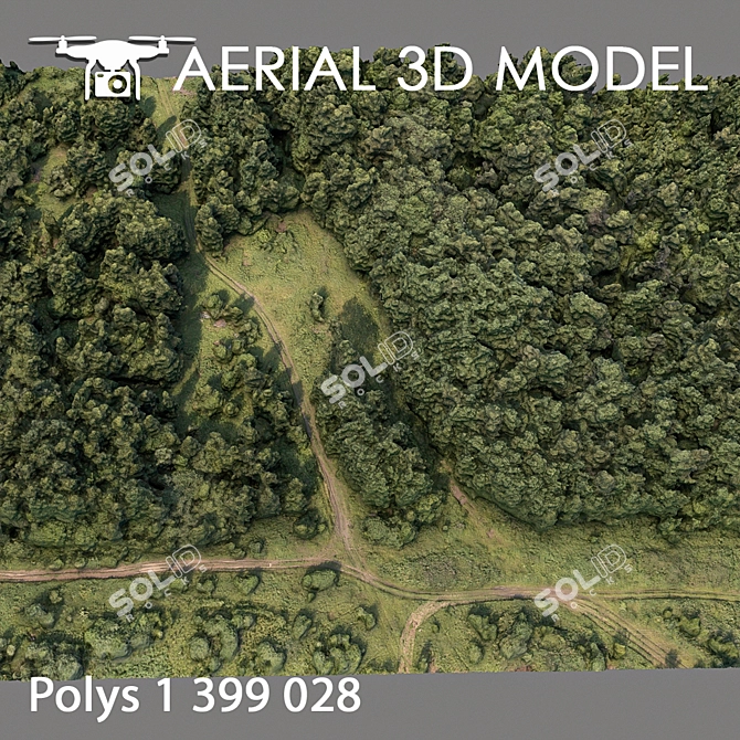 Forest Landscape 3D Scan 3D model image 3