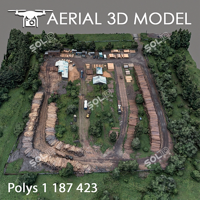 Quadrone Terrain Scan 3D model image 3