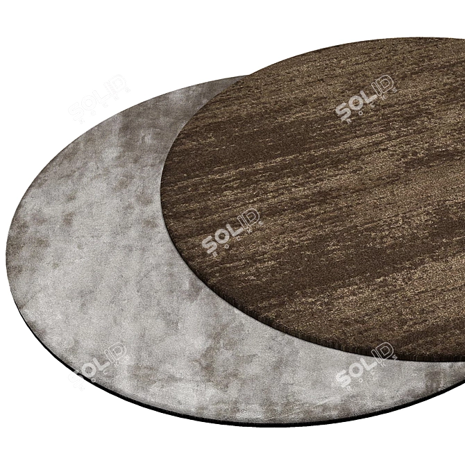 Circular Home Rug | Stylish Round Carpet 3D model image 2