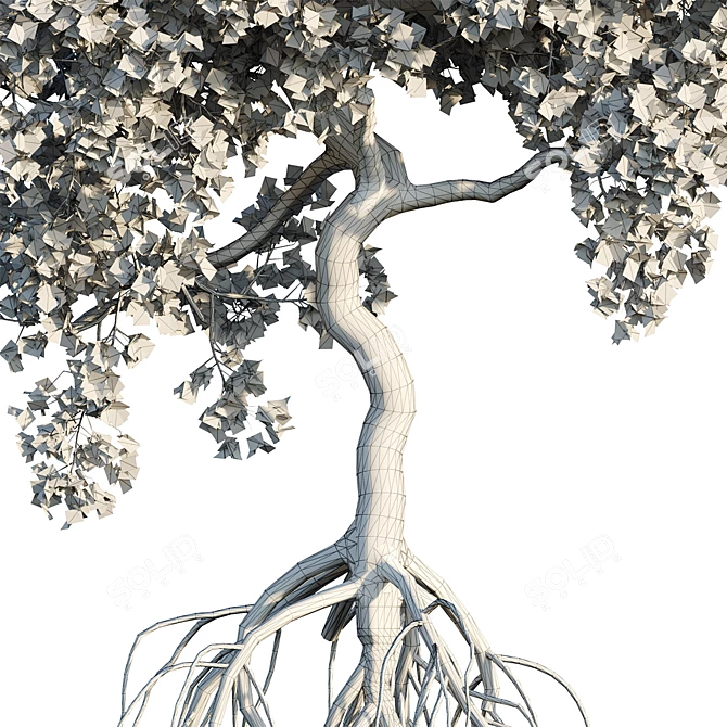 Mangrove Variations: Lifelike Trees 3D model image 7