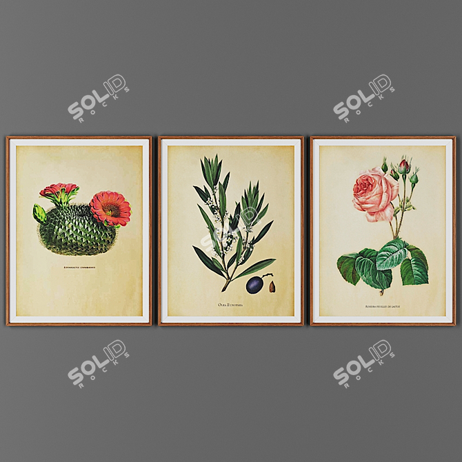 Wooden Frame Picture Set 3D model image 1